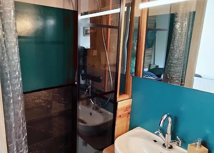 Le Petit Coolmar Appartement Colmar